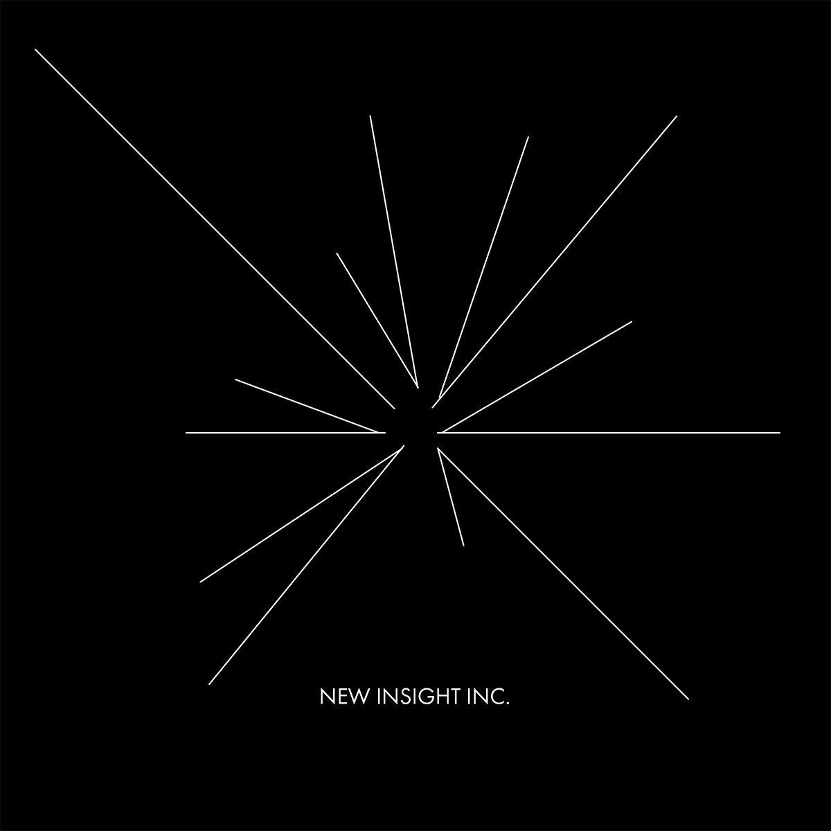 FASHION MARKETING AND CREATIVE DIRECTION  | NEW INSIGHT INC.